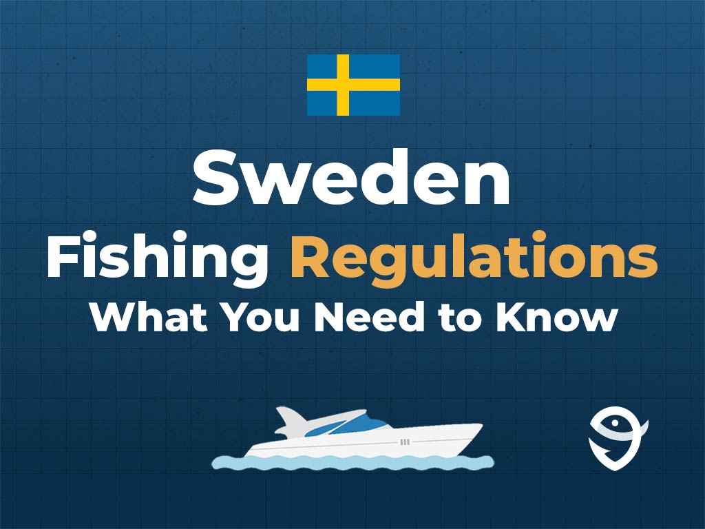 An infographic featuring the flag of Sweden along with text that says "Sweden fishing regulations, what you need to know" against a dark blue background