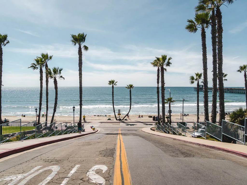 The palm tree-lined road to the Oceanside Pier and Harbor.