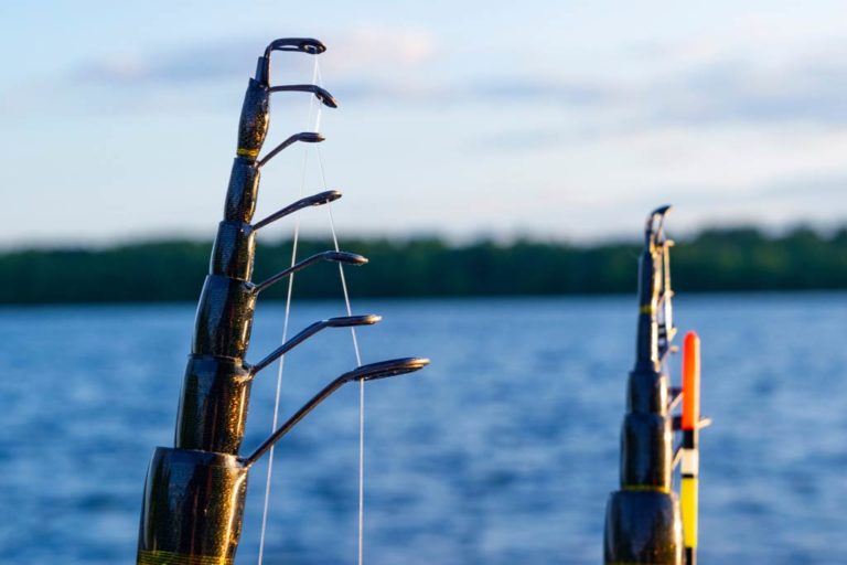 How to Choose a Fishing Rod: The Complete Guide for 2025