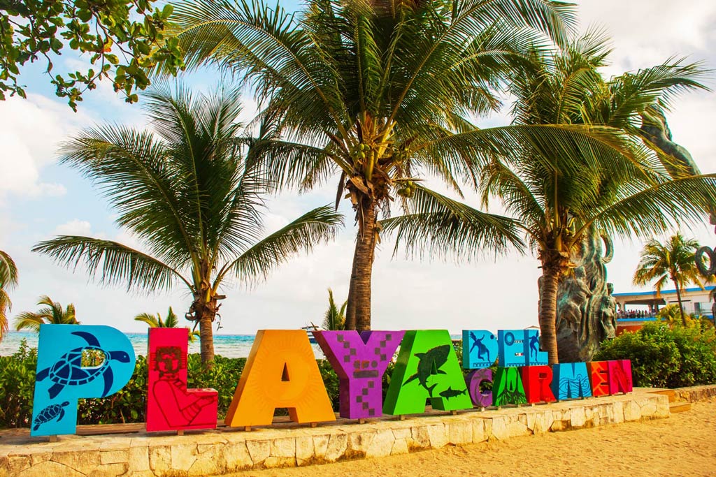 A view of Playa del Carmen's palm trees, with multi-colored letters spelling out "Playa del Carmen" at the front of the image