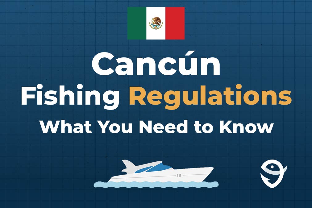An infographic featuring the flag of Mexico along with text that says "Cancun Fishing Regulations What You Need to Know" against a dark blue background