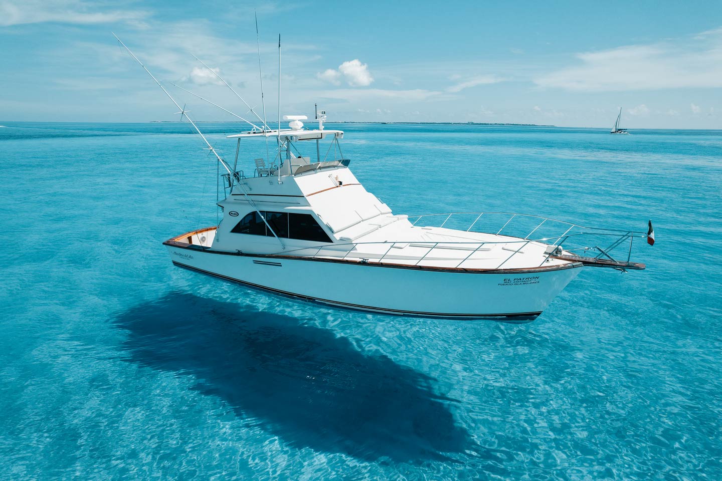 Cancún Fishing The Complete Guide for 2024