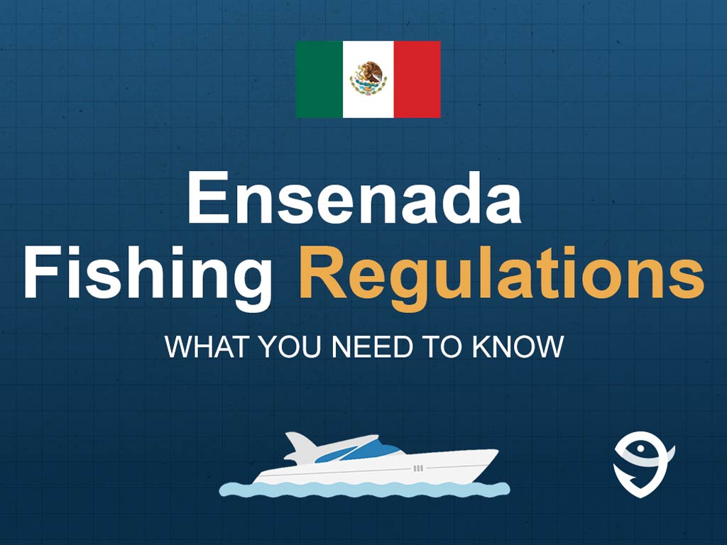 An infographic including the Mexican flag, a vector of a boat, and the FishingBooker logo, along with text saying "Ensenada Fishing Regulations: What You Need to Know" against a blue background