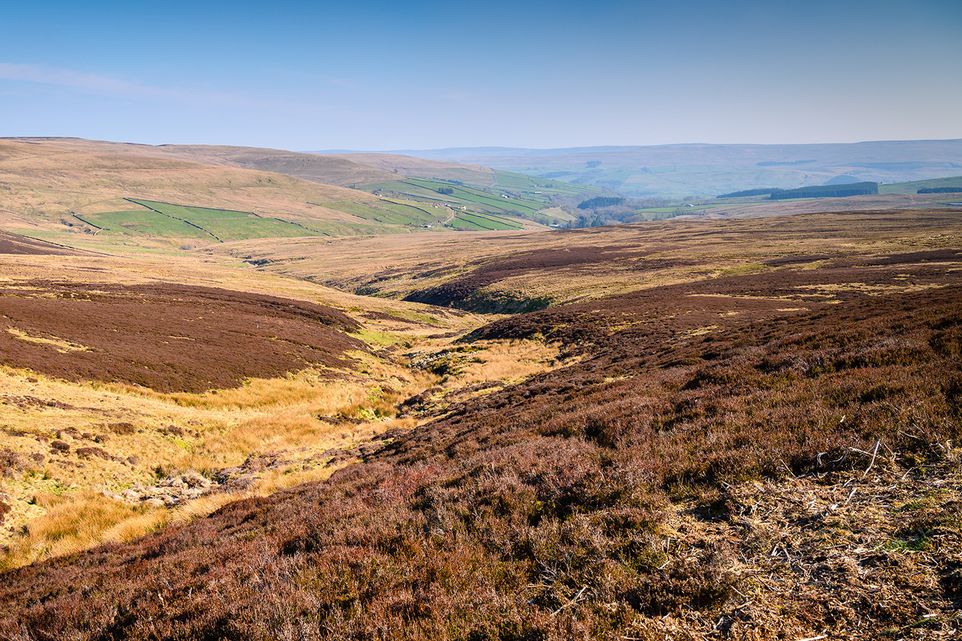 Moorland in the North Pennines