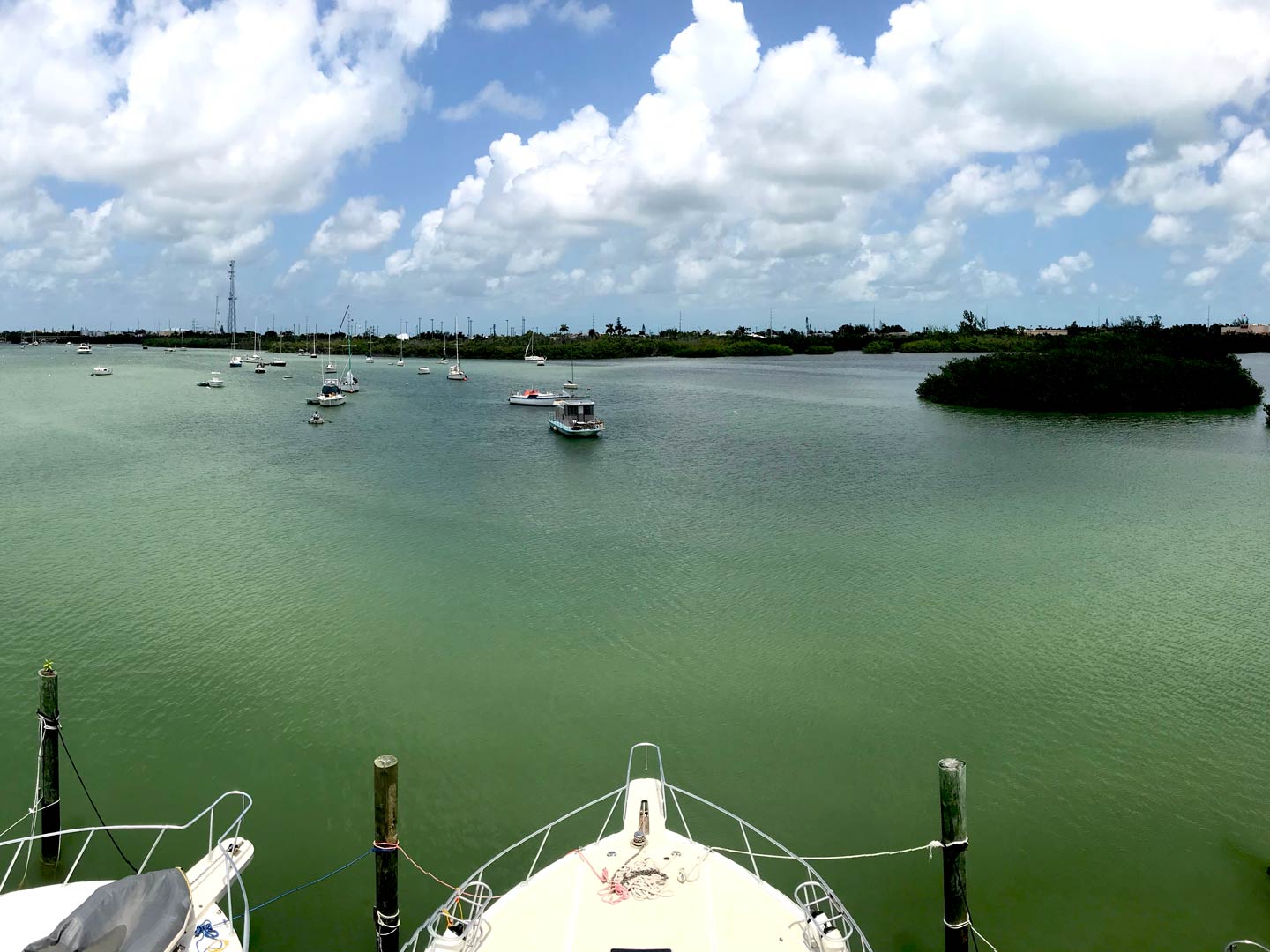 A view of charter boats on the waters of Marathon, Florida