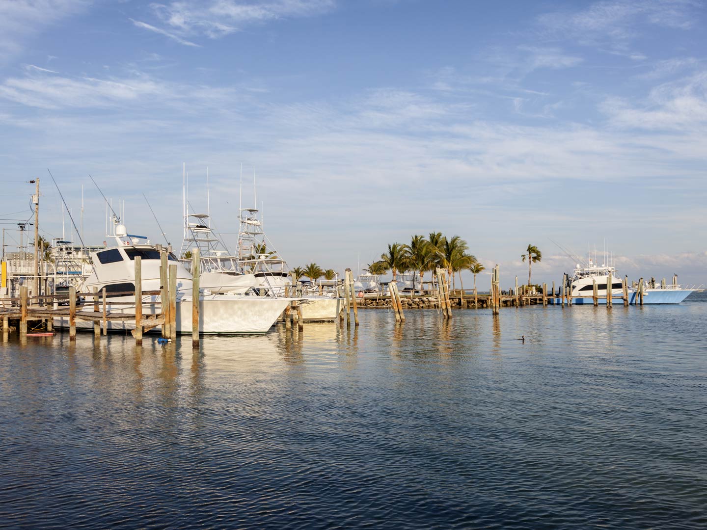 A view of docked charter boats in Marathon, Florida