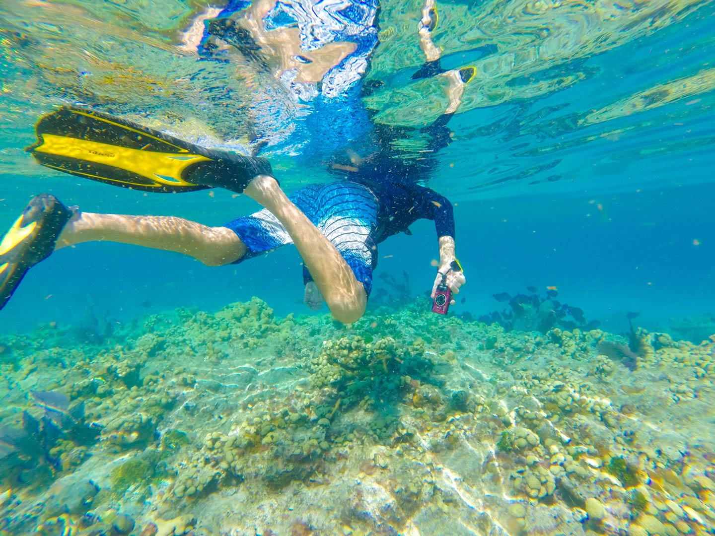 A man snorkeling in the reefs of Key Largo, Florida