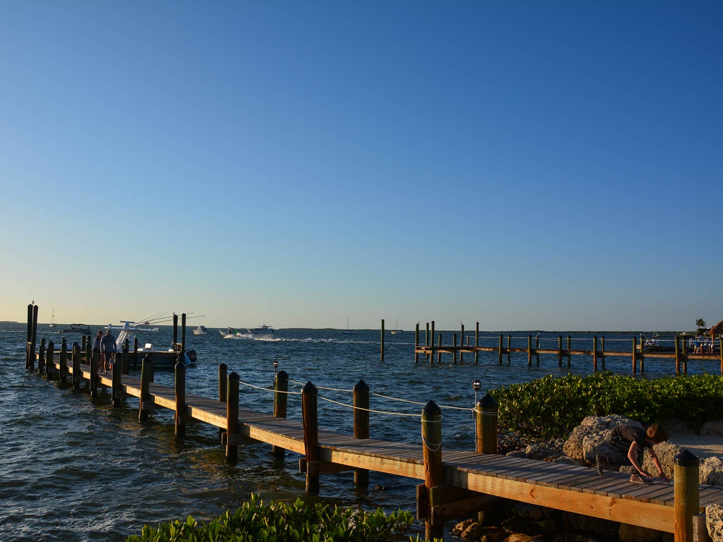 A view of a wooden dock in Key Largo, Florida