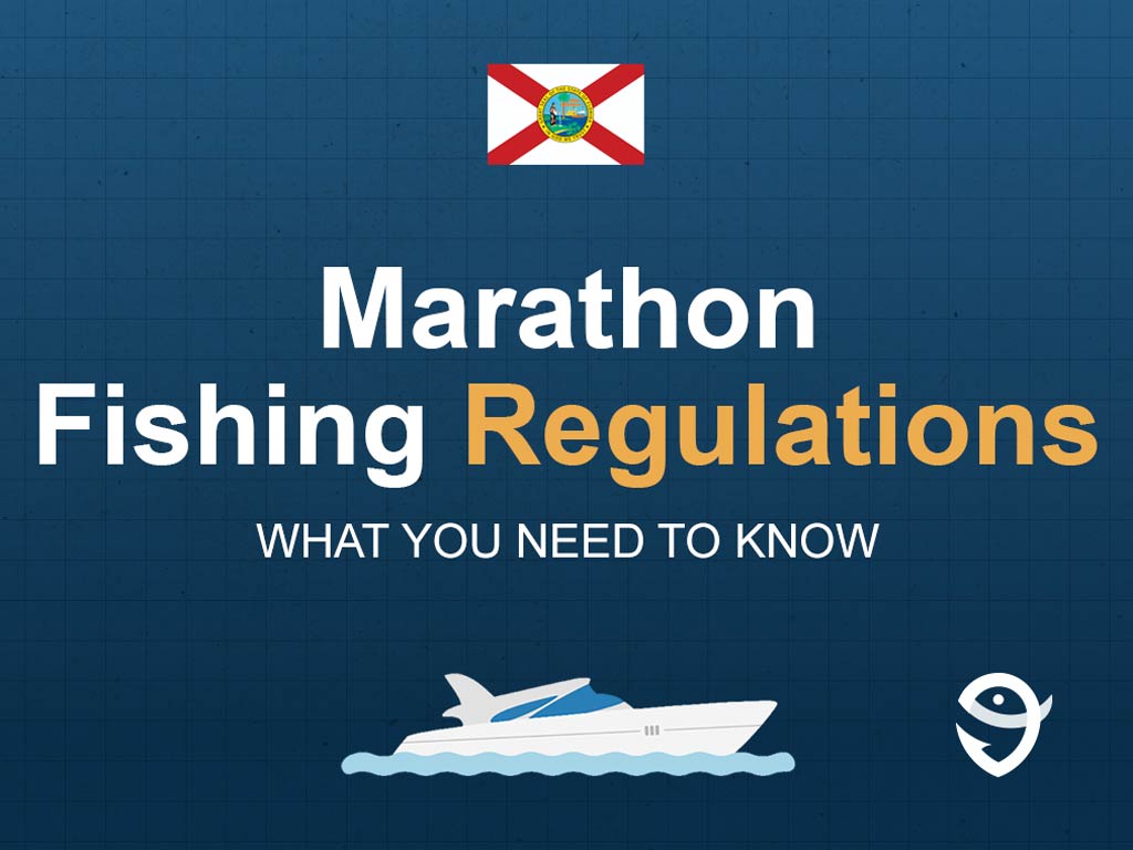 An infographic featuring the flag of Florida and text saying "Marathon Fishing Regulations, What You Need to Know" above a vector of a boat against a blue background