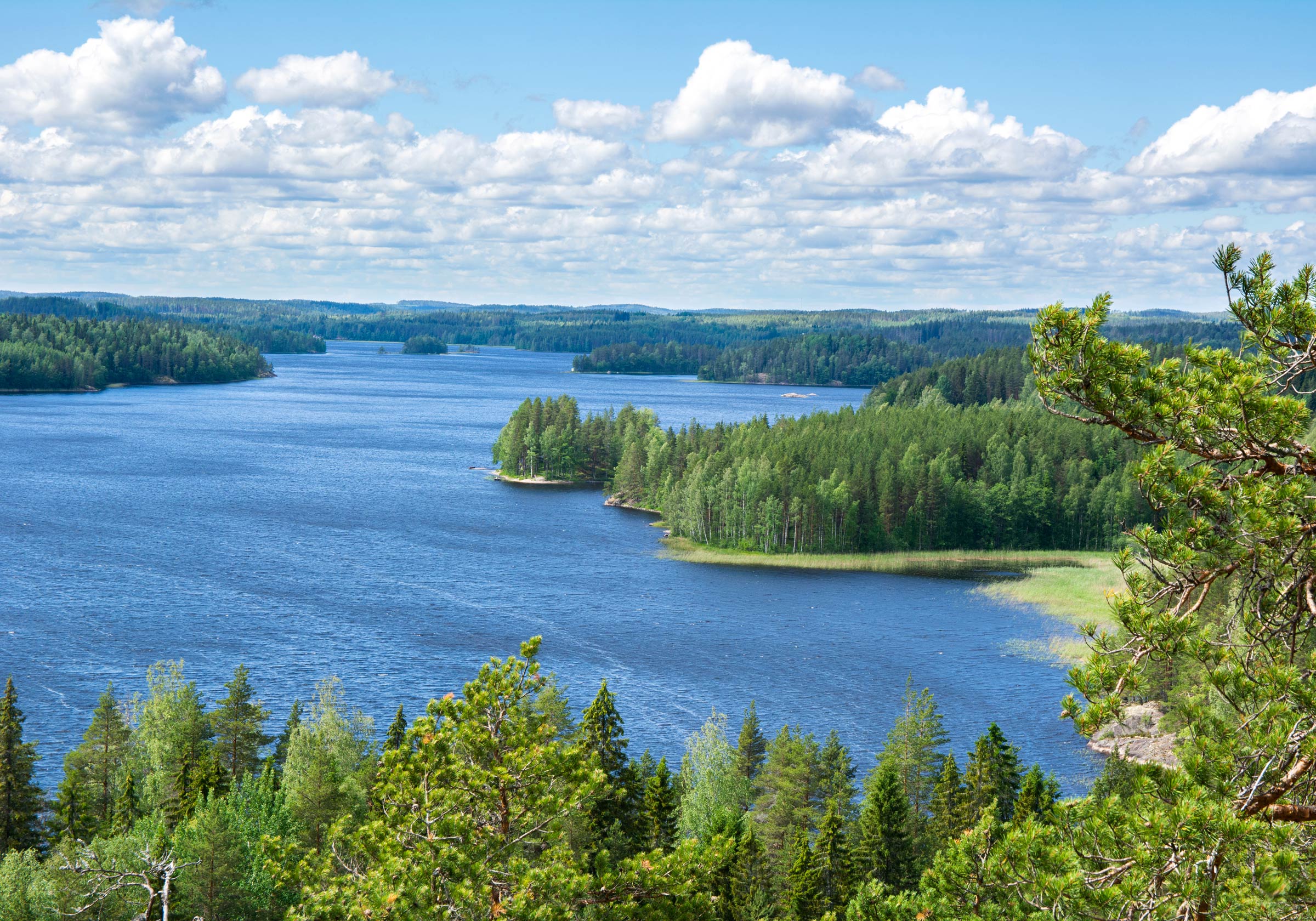 A large lake with forested shores and small tree-covered islands is perfect for Angeln in Finnland under a partly cloudy sky. You'll find species like Northern Pike, European Perch, Zander, Brown Trout, and Arctic Char thriving in these clear waters. Since the best times to fish are usually early morning or late evening, don't forget to bring your gear and enjoy the peaceful atmosphere. Whether you're after a trophy-sized Pike or just want to relax and catch some Perch, you'll love spending hours soaking in the natural beauty all around you.