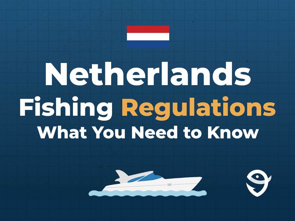 An infographic featuring the flag of the Netherlands along with text that says "Netherlands fishing regulations, what you need to know" against a dark blue background