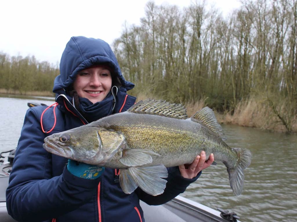 A photo of a female angler on a charter boat posing with a Zander she caught while river fishing in the Netherlands on a cold day