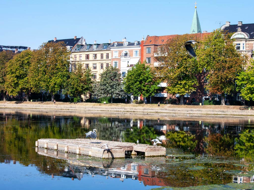 A photo of one of the three famous Lakes that sit on the Western edge of central Copenhagen taken on a bright and sunny day while birds are relaxing on the raft and people are peacefully walking