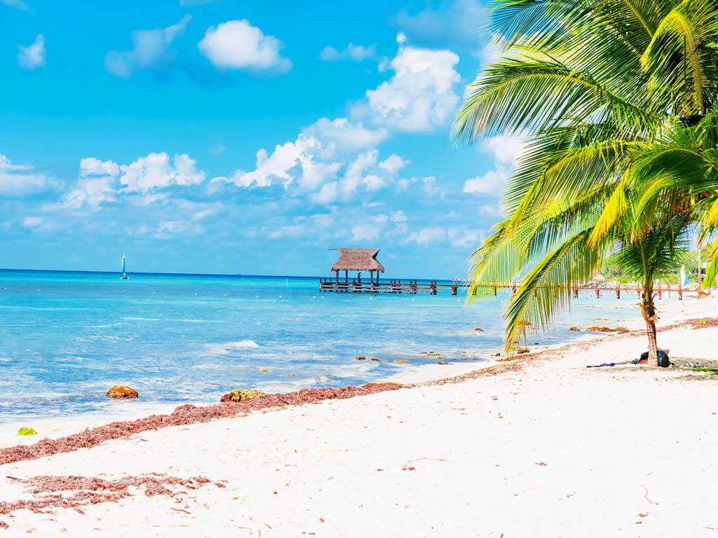 A view of the shoreline of one of Cozumel's beaches with white sands, the Caribbean, and palm trees, as well as a pier in the distance 