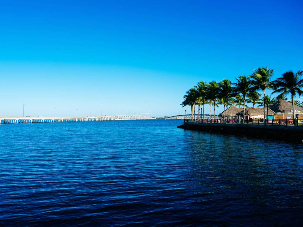 A view of docks with palm trees and a bridge in the background