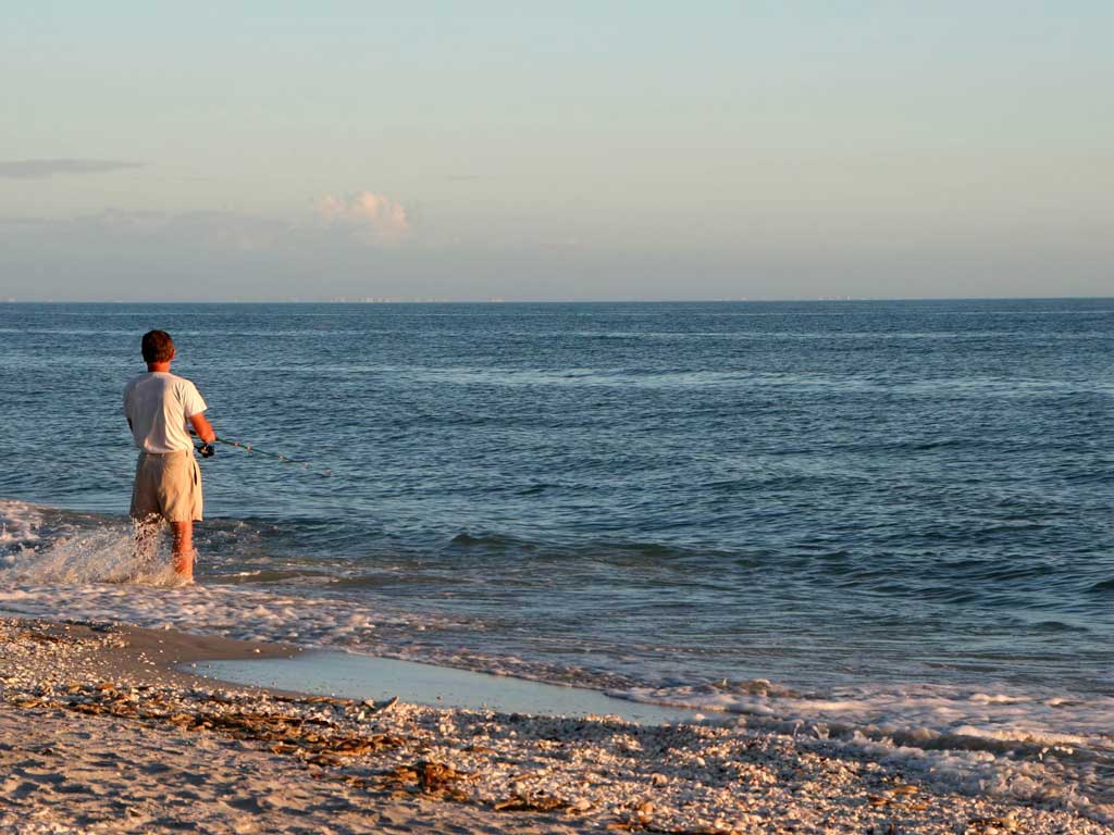 An angler fishing from the beach while standing in the water
