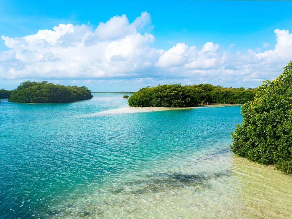 A view of Sian Ka'an reserve on a sunny day, showing the lagoon's waters