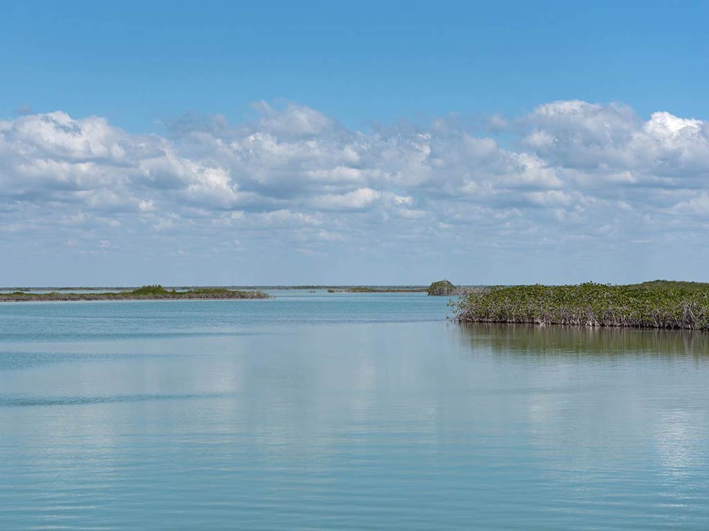 A view over Ascension Bay showing some grassy waters and a blue sky