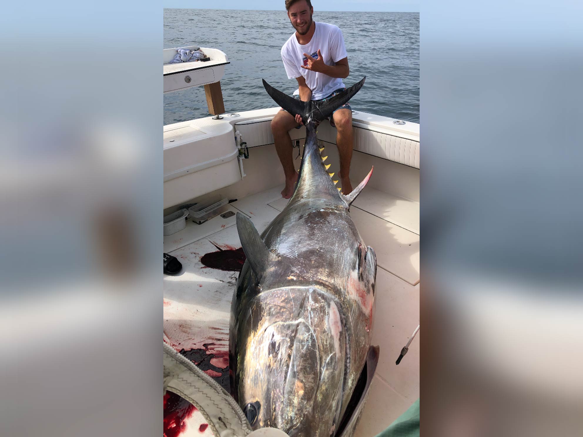 A fisherman sitting in the corner of a boat, holding the tail of a trophy 900 lb Tuna