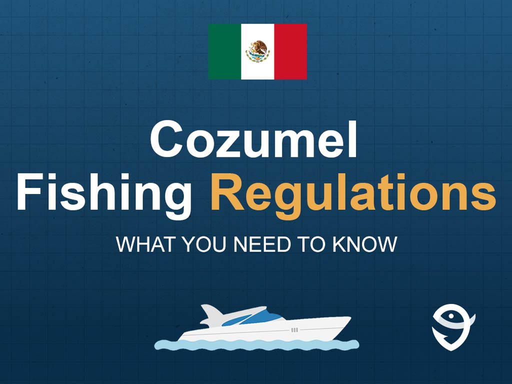 An infographic featuring the flag of Mexico and text saying "Cozumel Fishing Regulations, What You Need to Know" above a vector of a boat against a blue background