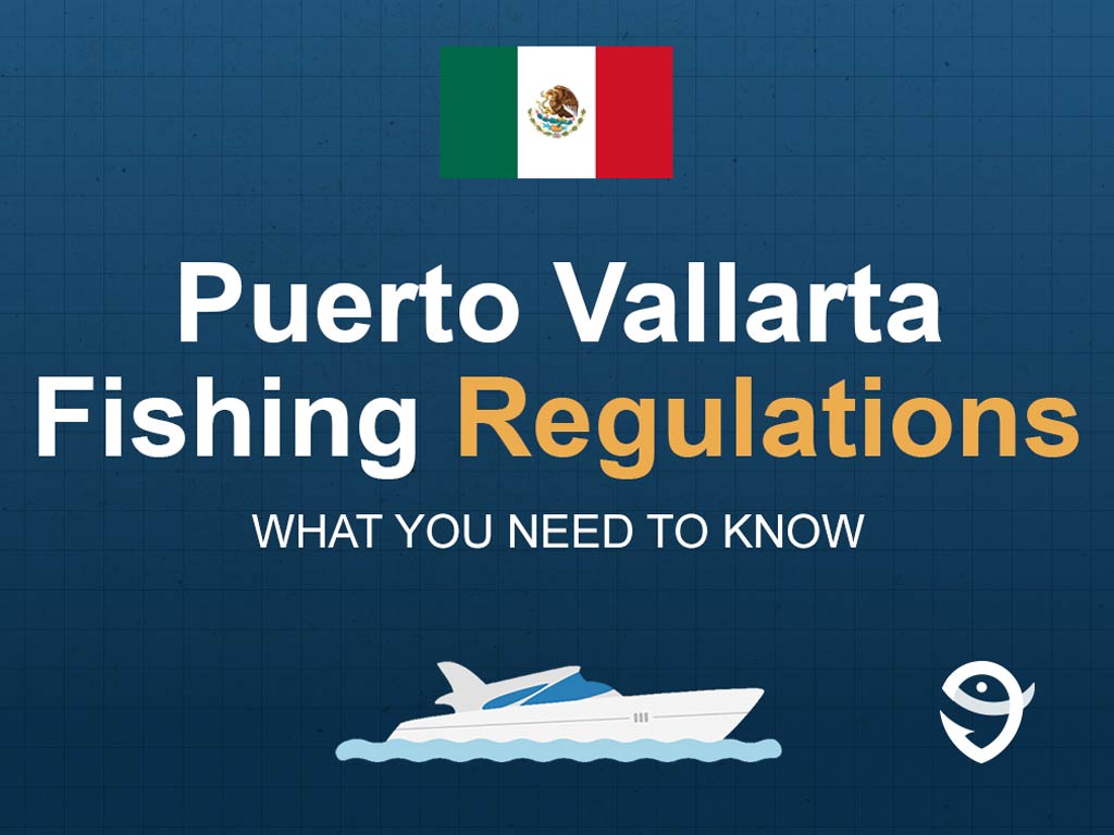 An infographic featuring the flag of Mexico and text saying "Puerto Vallarta Fishing Regulations, What You Need to Know" above a vector of a boat against a blue background
