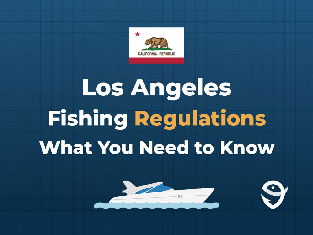 An infographic showing the flag of California along with text that says "Los Angeles Fishing Regulations What You Need to Know" against a dark blue background.