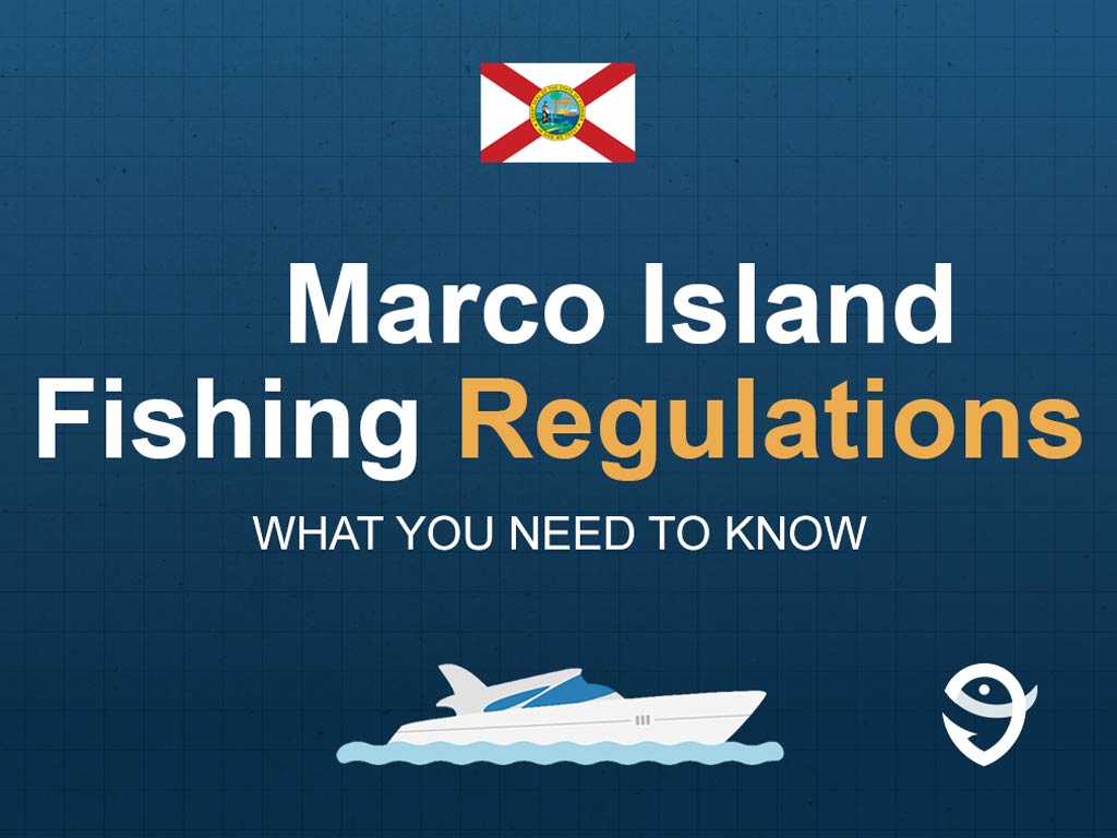 An infographic featuring the flag of Florida and text saying "Marco Island Fishing Regulations, What You Need to Know" above a vector of a boat against a blue background