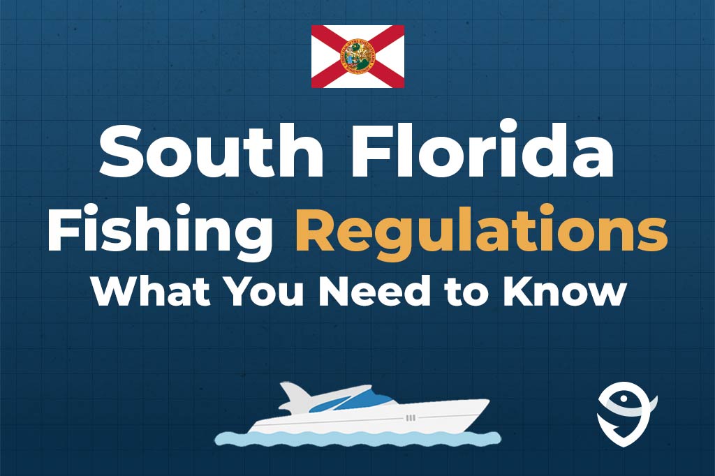 An infographic featuring the flag of Florida and text saying "South Florida Fishing Regulations, What You Need to Know" above a vector of a boat against a blue background