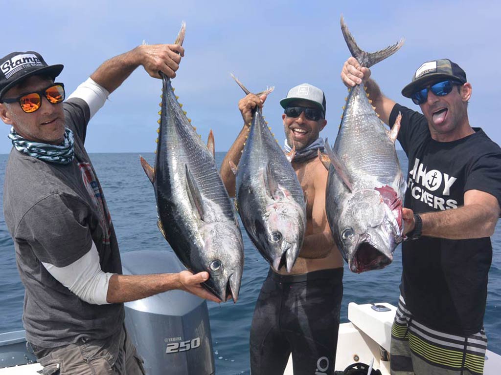 A photo of three anglers posing for a camera with each holding a Bluefin Tuna that were caught fishing offshore from Newport Beach.
