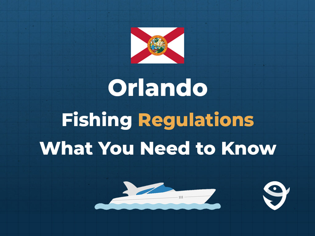 An infographic showing the flag of Florida along with text that says "Orlando Fishing Regulations What You Need to Know."