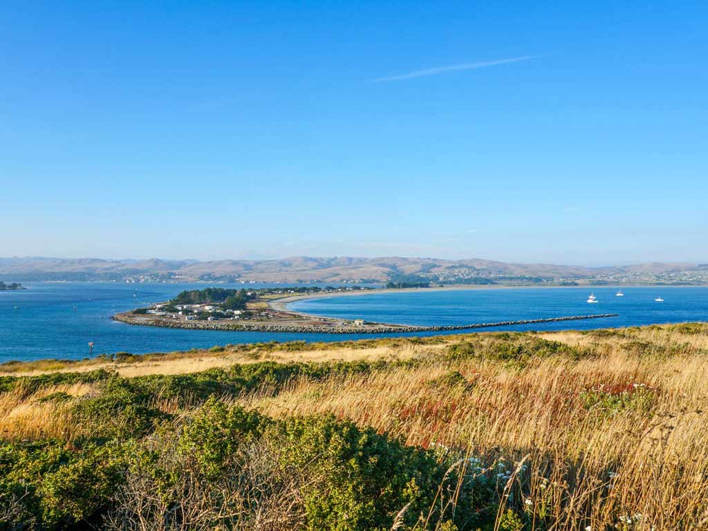 A view of grassy hills and the Doran Beach in Bodega Bay