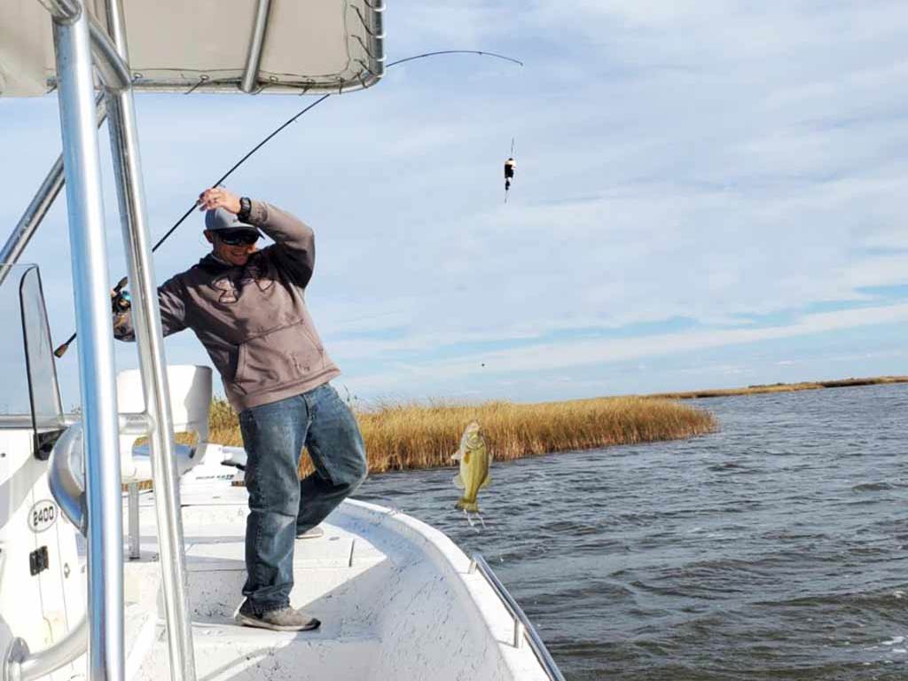 A side view of a happy angler standing on a charter fishing boat while pulling out Bass from the water during a sunny fall day