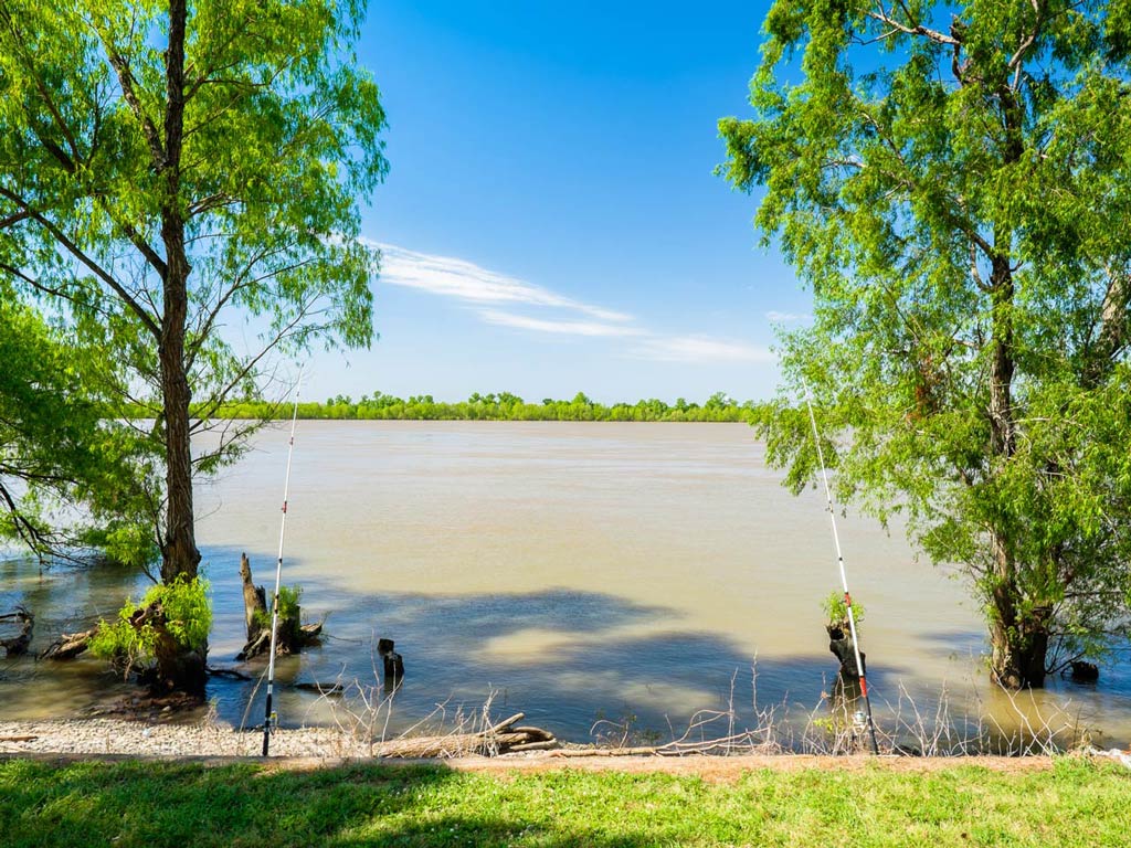 A photo of the fishing rods surrounded by lush greenery while set up on the shoreline with the lines in the water