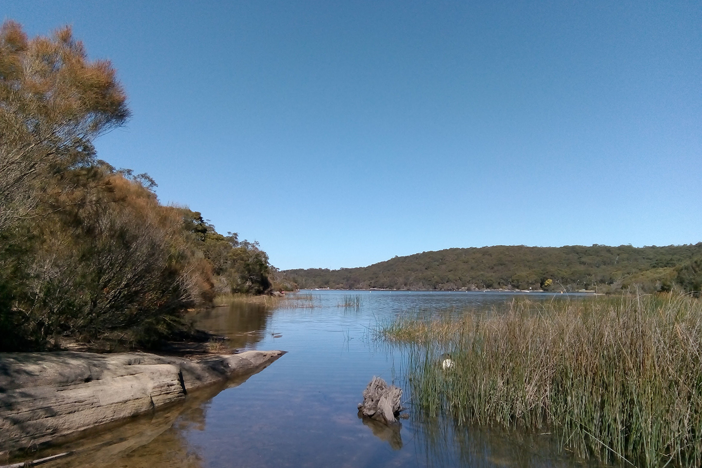 A shallow area of Manly Dam in northern Sydney