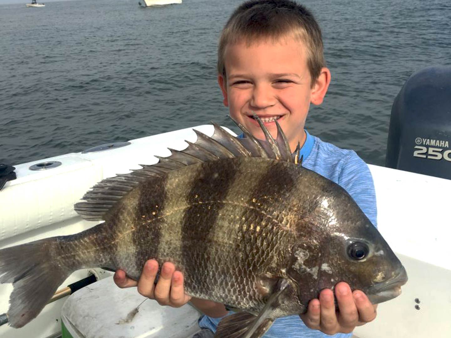 A happy kid holding a Sheepshead on a fishing boat on a summer's day