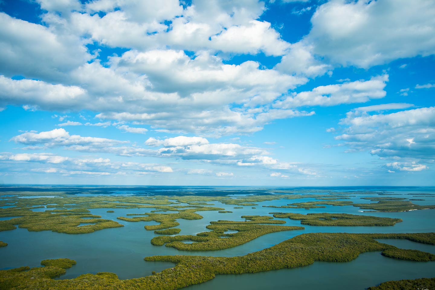 An aerial view of the Ten Thousand Islands in the Everglades National Park, with greenery sticking out of the water on a day with sunny intervals