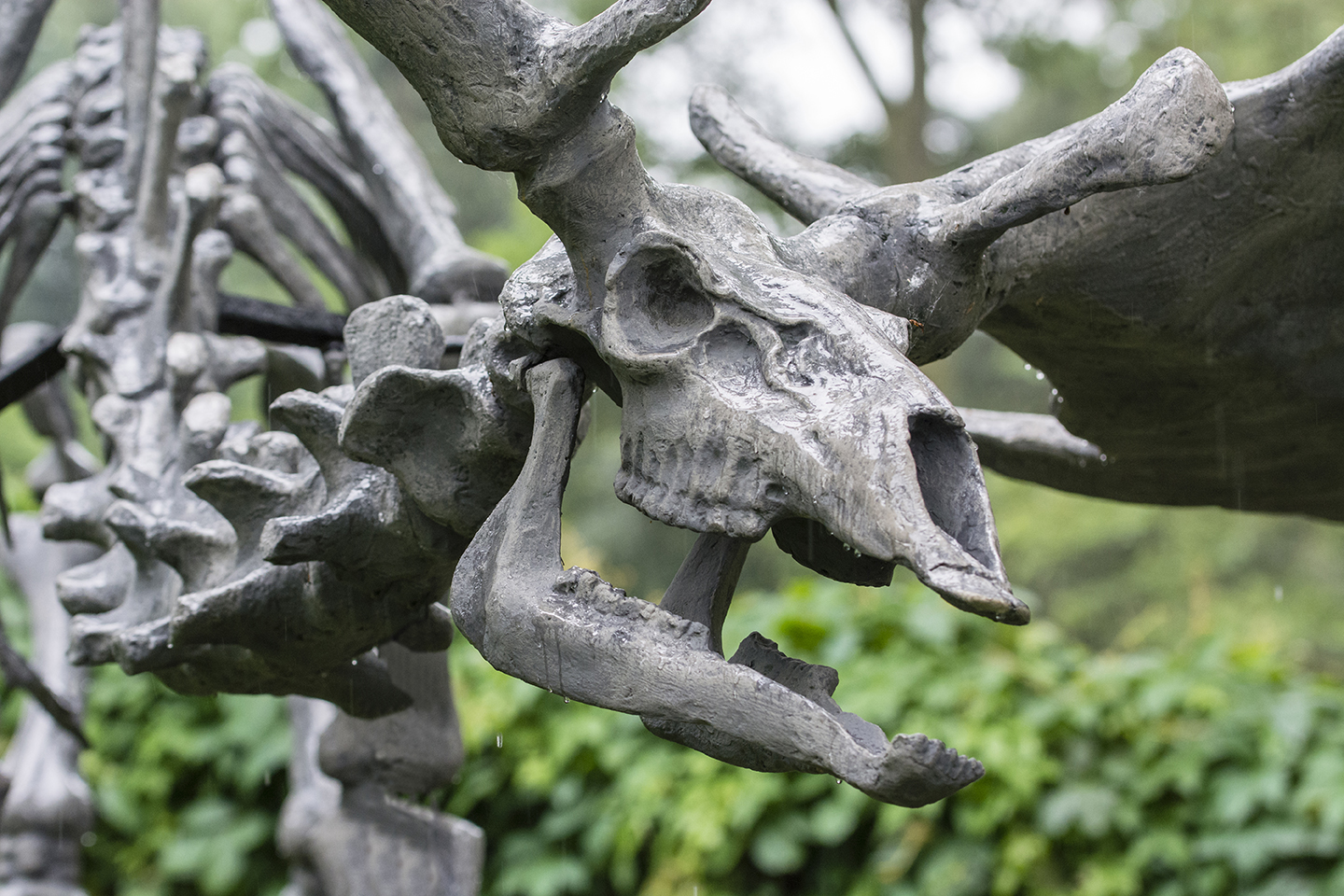 A statue of an ancient giant elk