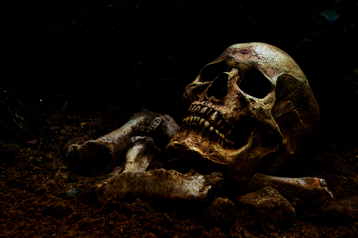 A skull and bones resting on the sea floor