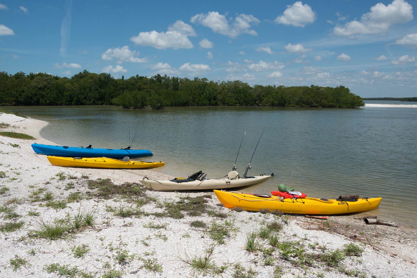 Three kayaks line the shore of the Ten Thousand Islands