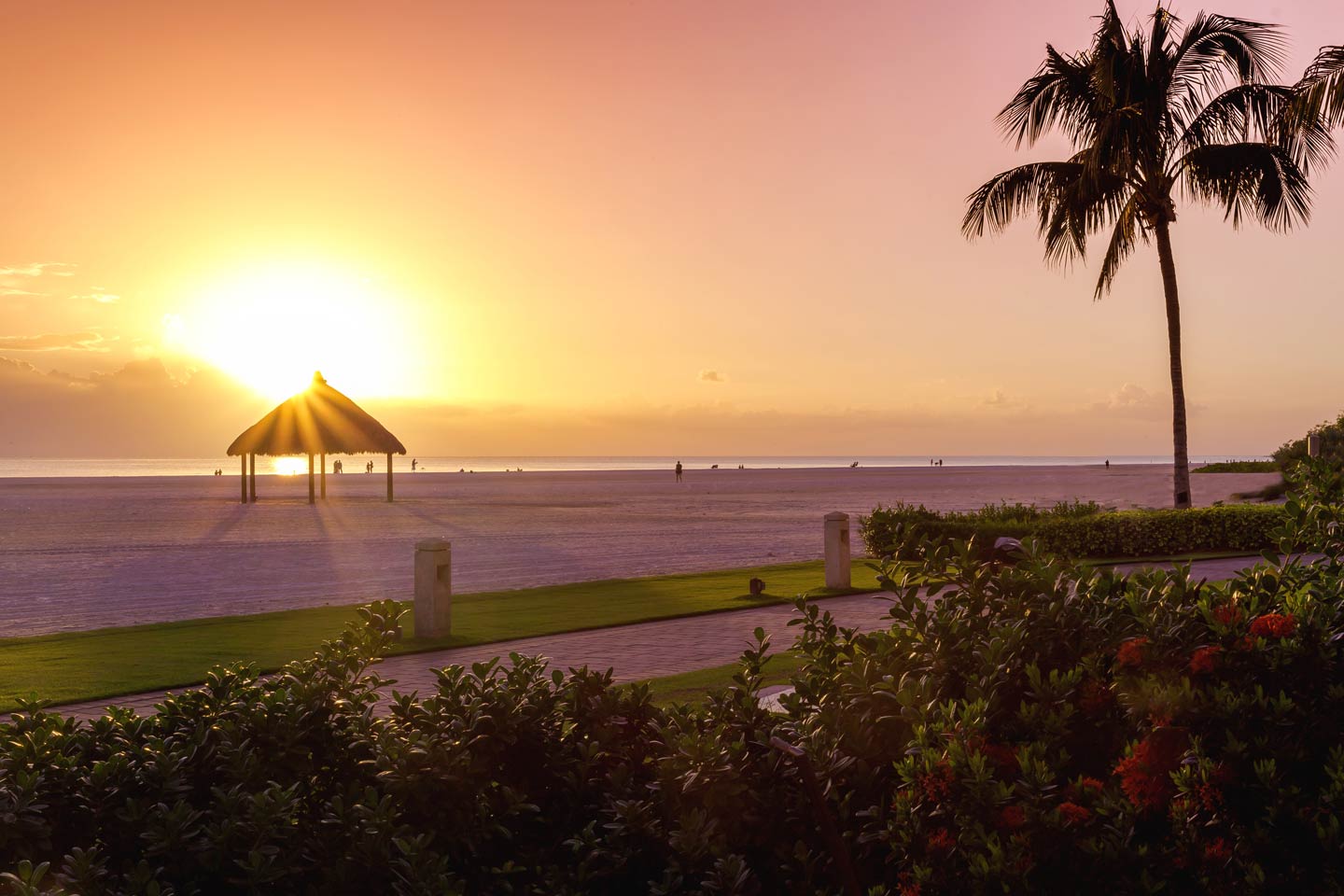 A view of Marco Island's shoreline at sunset, with a palm tree in the foreground