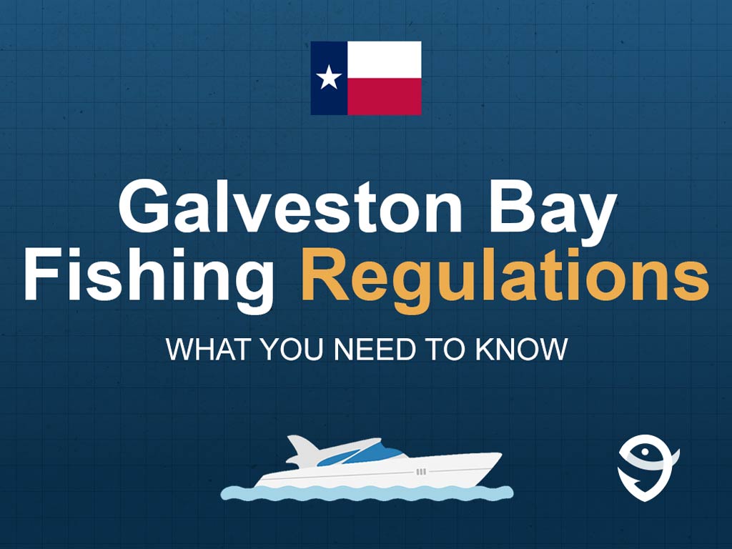 An infographic featuring the flag of Texas and text saying "Galveston Bay Fishing Regulations, What You Need to Know" above a vector of a boat against a blue background