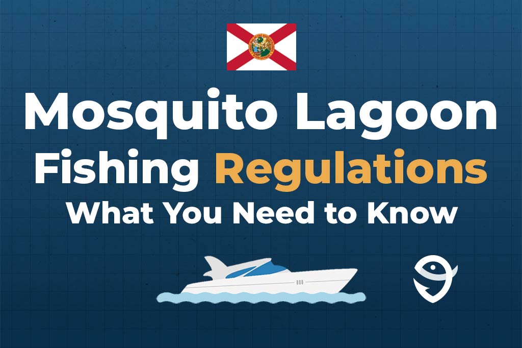 An infographic featuring the flag of Florida and text saying "Mosquito Lagoon Fishing Regulations, What You Need to Know" above a vector of a boat against a blue background