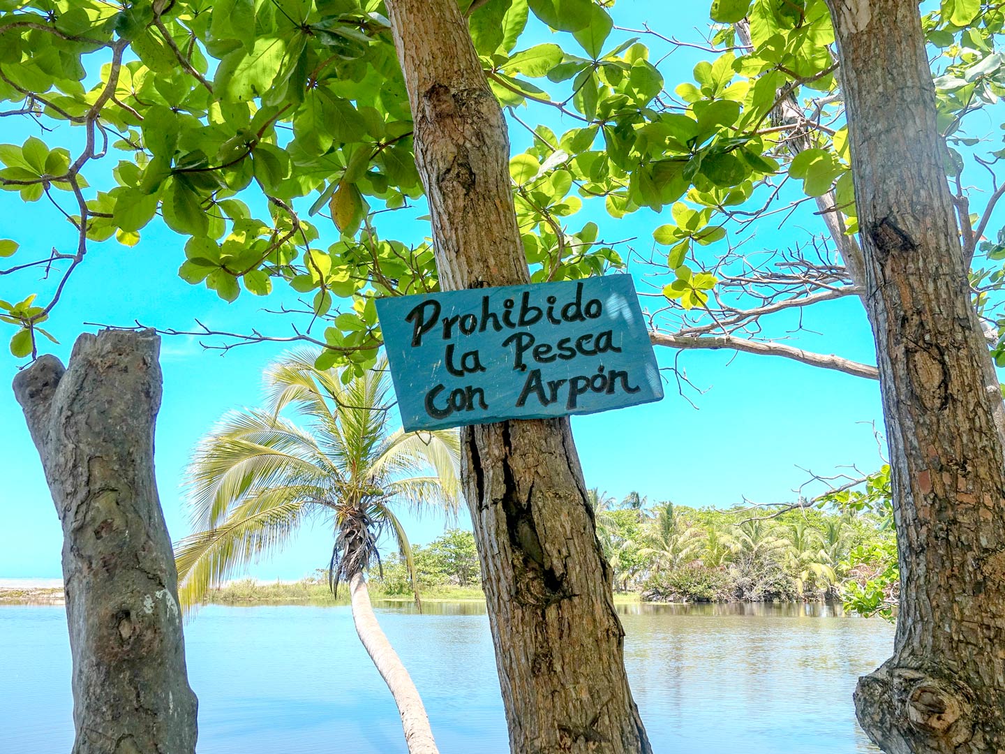 Ein Schild an einem Strand mit der Aufschrift "Fischen mit Harpune verboten" auf Spanisch.