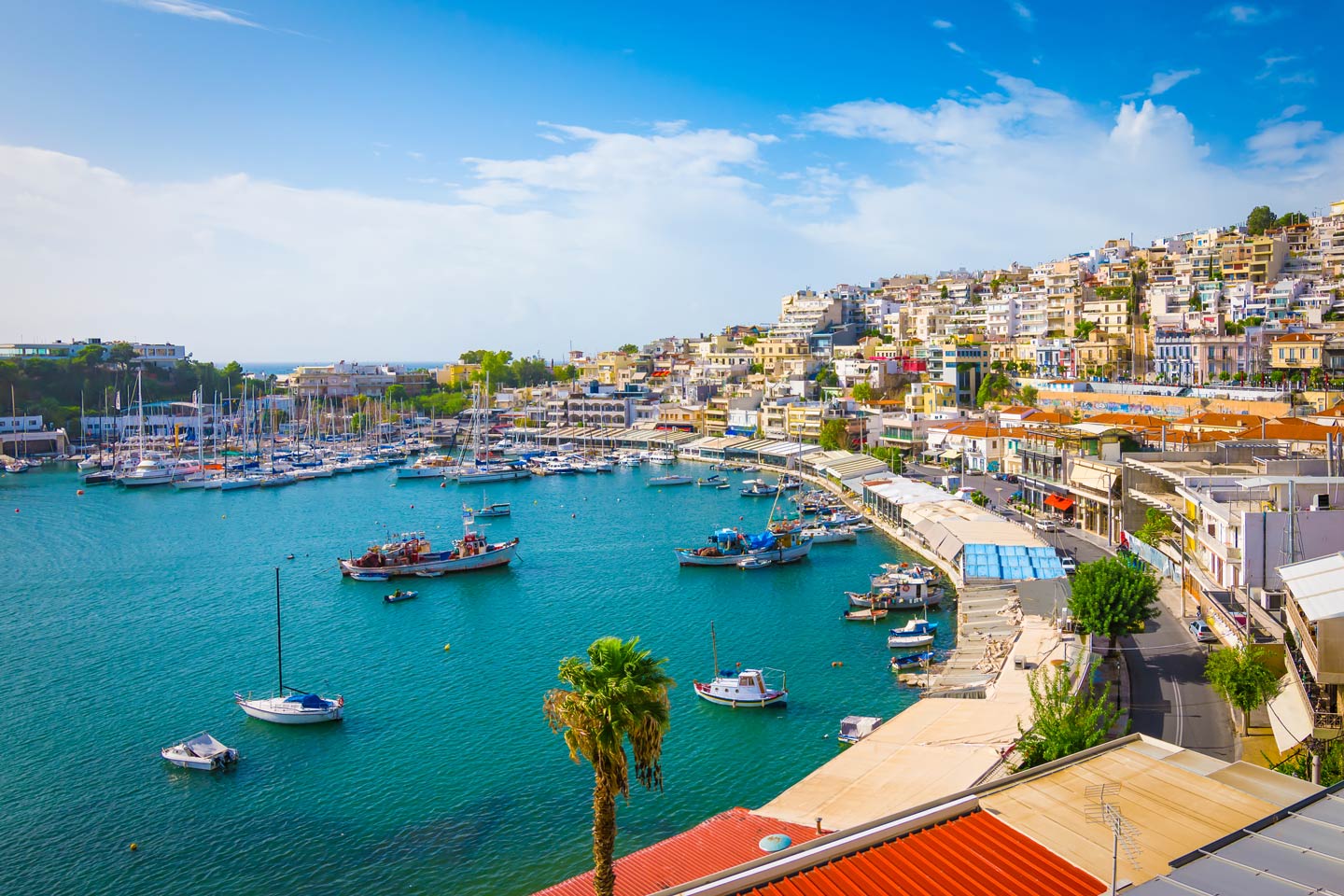 A harbor filled with numerous boats for Angeln in Griechenland is docked in clear blue water, bordered by white hillside buildings under a partly cloudy sky. You might spot local anglers hoping to catch species like European Sea Bass, Gilt-head Bream, or even Common Dentex among the vessels. It's an inviting scene that makes you want to grab your gear and try your luck with these prized fish.