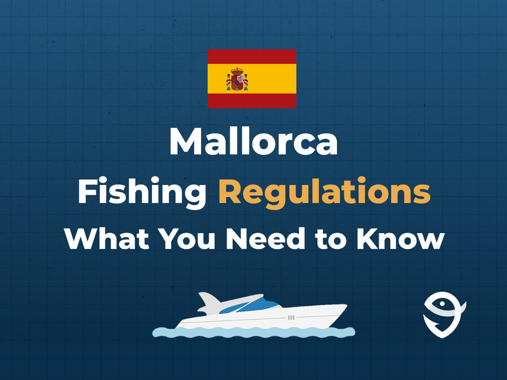 An infographic featuring the flag of Spain along with text that says "Mallorca Fishing Regulations What You Need to Know" against a dark blue background.