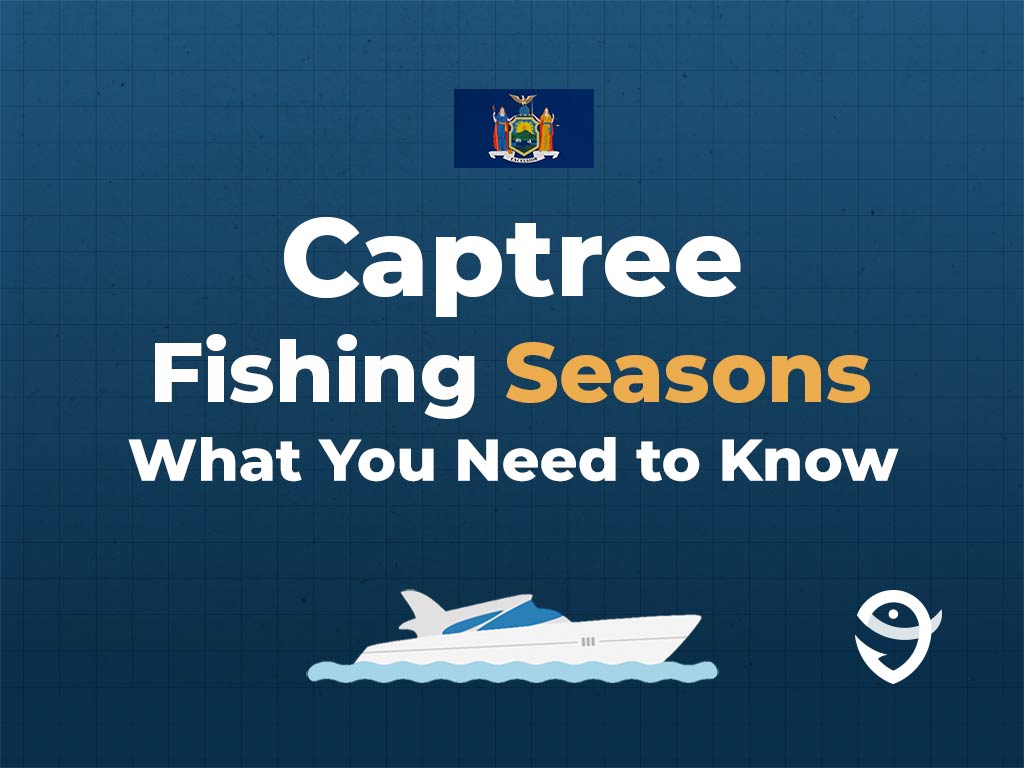 An infographic featuring the state flag of New York along with text that says "Captree fishing regulations, what you need to know" against a dark blue background