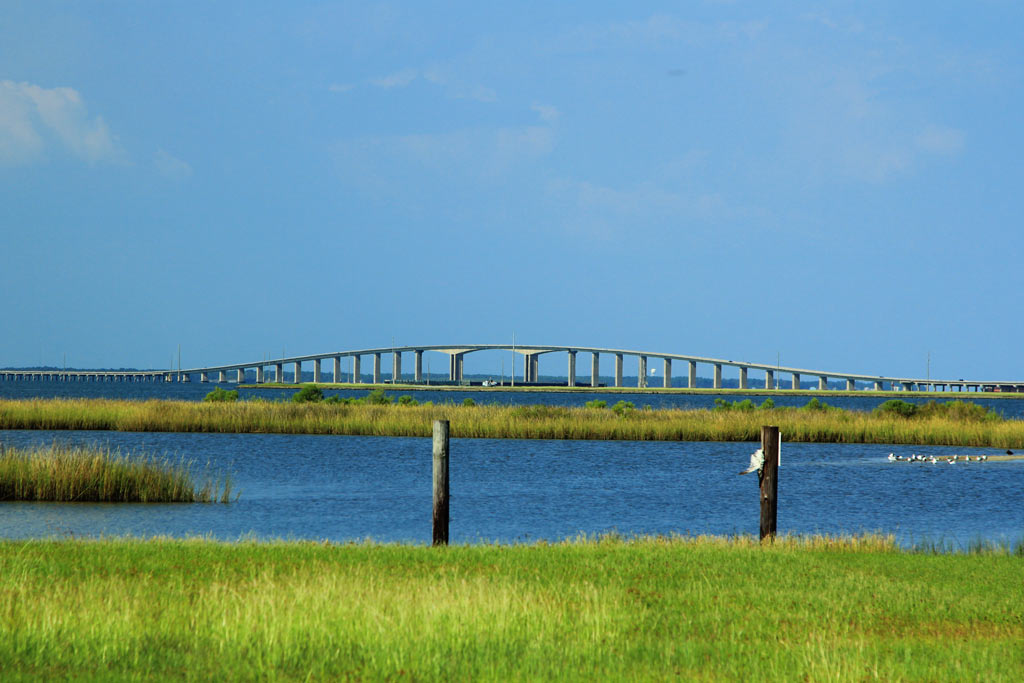 A view of the inshore fishing grounds in Dauphin Island and the Parkway Bridge in the background
