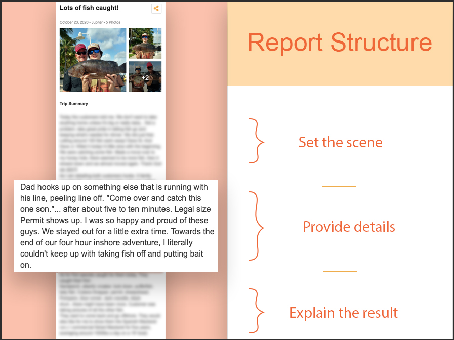 A screenshot of a review with text to the right of it indicating a Report Structure that follows: Set the scene; Provide details; Explain the result