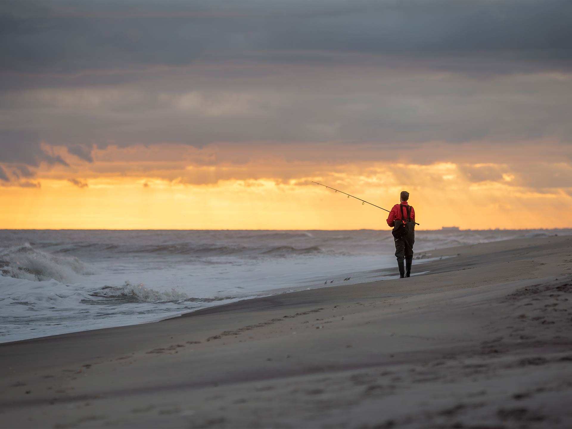 An angler casts from shore in Fire Island, NY