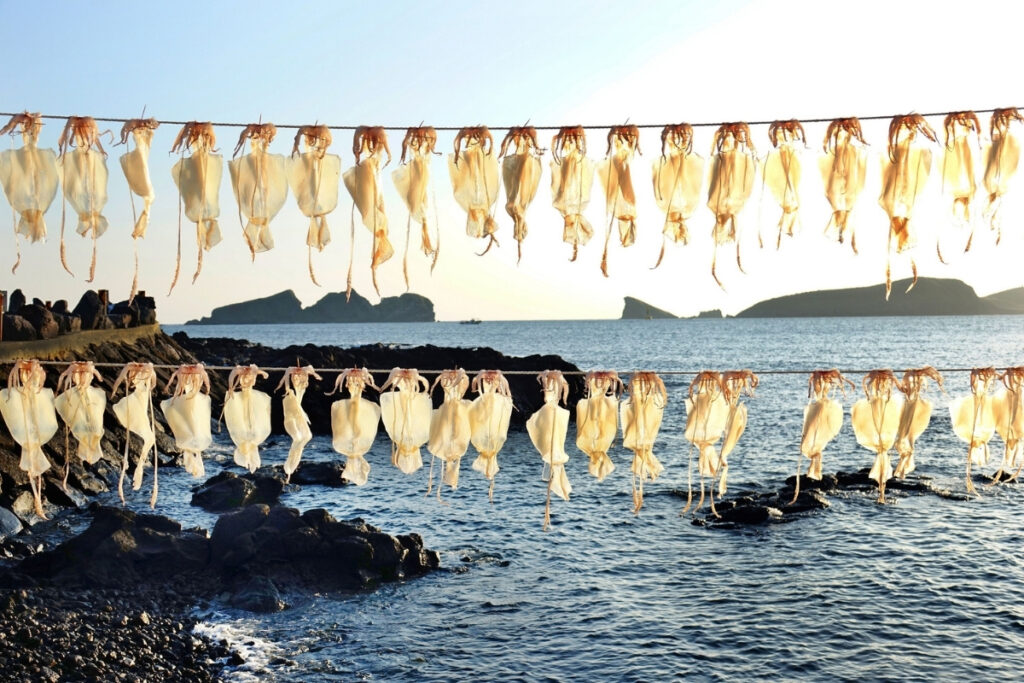 Rows of Squid are hung to dry on lines by the seaside, evoking scenes of fishing in Greece. The rocky coast and islands are in the background under bright sunlight.